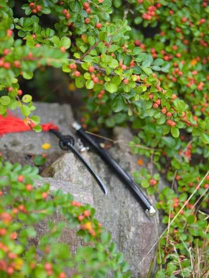 Tip of Tanjiro miniature katana resting on a rock, enveloped by green foliage, telling a story of harmony between weapon and nature.